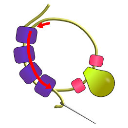 Spiral Stitch Illustrated Directions
